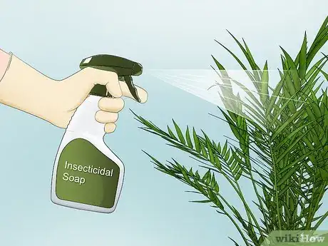 Image titled Plant an Areca Palm Step 17