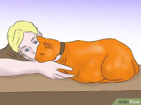 Image titled Help a Cat with Epileptic Seizures Step 4