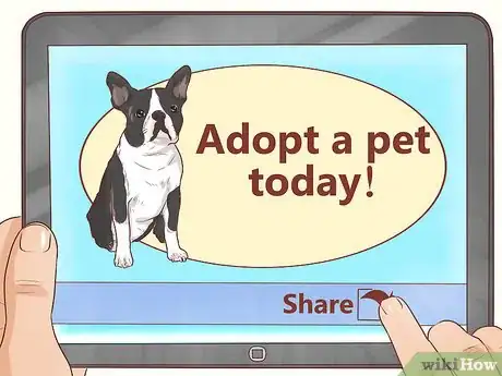 Image titled Foster Shelter Dogs Step 14