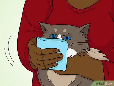 Image titled Prevent Feline Upper Respiratory Illness Step 6