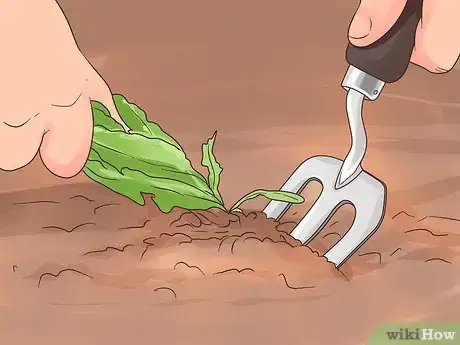 Image titled Plant on a Slope Step 11