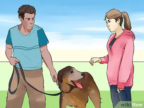 Image titled Care for a Recently Rehomed Dog Step 20