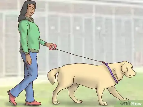 Image titled Adopt a Fostered Dog Step 8