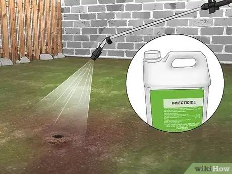 Image titled Get Rid of Bumble Bee Nests in the Ground Step 10