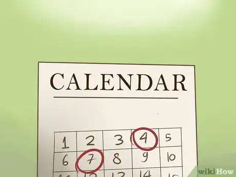 Image titled Introduce Your Guinea Pig to Floor Time Step 3