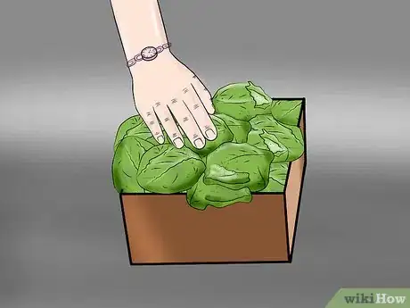 Image titled Host a Winter Dinner Party Step 3