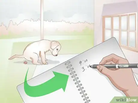 Image titled Get to Know Your Puppy Step 3
