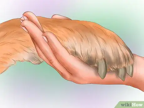 Image titled Clip Dog Nails Step 8