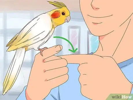 Image titled Train Cockatiels Step 11