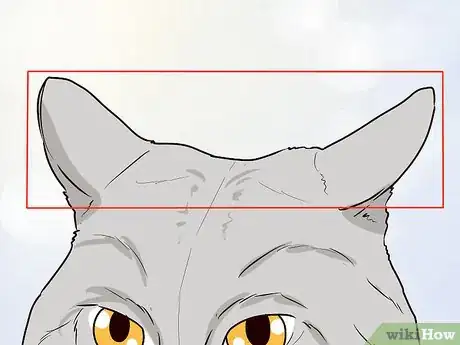 Image titled Figure Out Your Cat's Mood Step 17