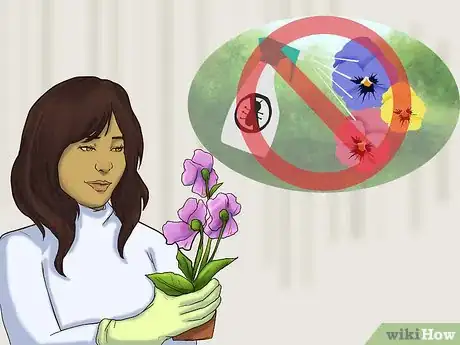 Image titled Decorate Baked Goods with Edible Flowers Step 13