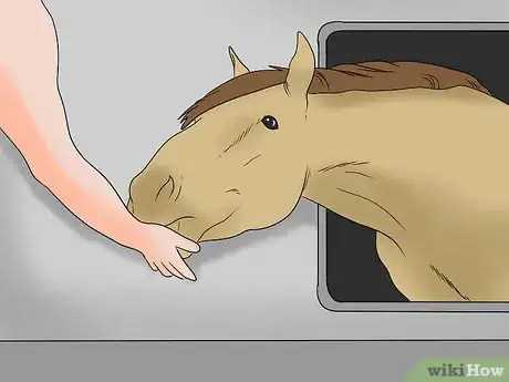 Image titled Load a Frightened Horse Into a Horse Trailer Step 3
