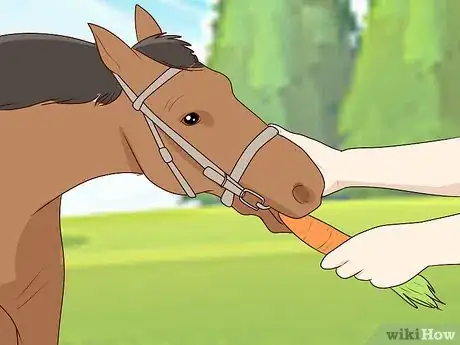 Image titled Get Your Horse to Stand Still for Mounting Step 9