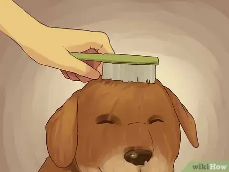 Image titled Give a Small Dog a Bath Step 17