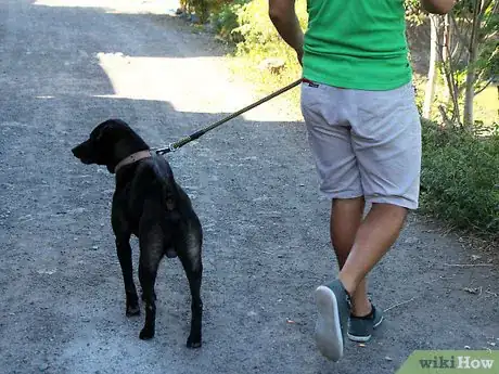 Image titled Tame Your Dog Step 6