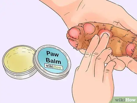 Image titled Protect Dog Paws Step 5