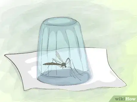 Image titled Avoid Mosquito Bites Step 5