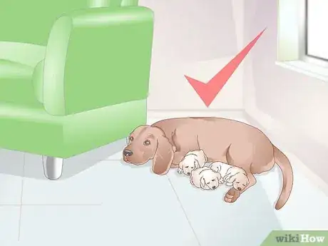 Image titled Get a Litter of Puppies to Sleep Step 7