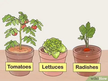 Image titled Manage a Balcony Garden Step 6