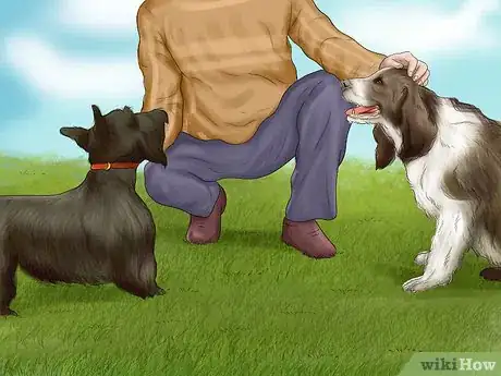Image titled Make Your Dog Get Along With Other Dogs Step 8