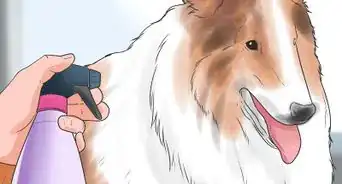 Have Fun Giving Your Dog a Flea Bath