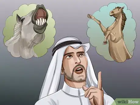 Image titled Choose the Right Breed of Horse for You Step 8