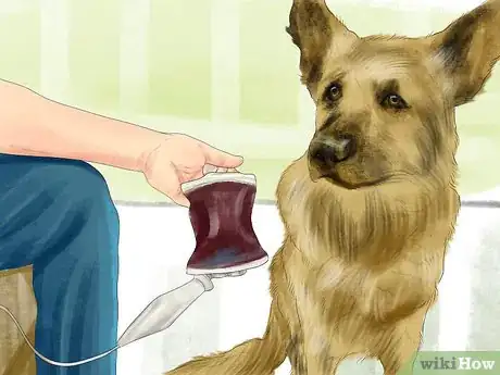 Image titled Prepare for Breed Specific Health Problems in Dogs Step 6