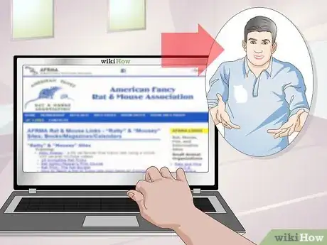 Image titled Train a Hamster or a Mouse to Walk on a Tightrope Step 12