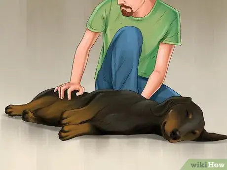 Image titled Train a Manchester Terrier Step 9