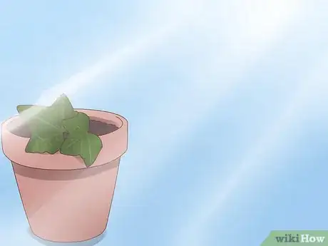 Image titled Plant English Ivy Step 1