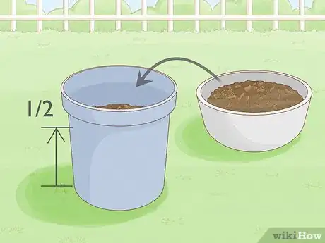 Image titled Grow Miracle Berries Step 5