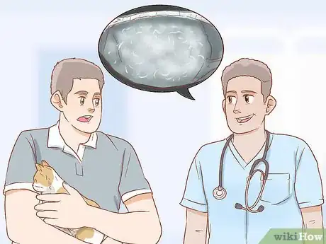 Image titled Tell if a Cat is Pregnant Step 9