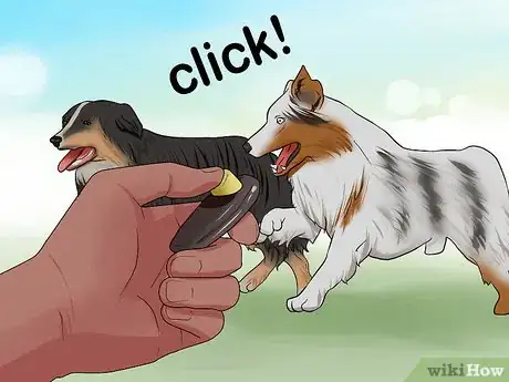 Image titled Introduce a New Dog to Your Senior Dog Step 11