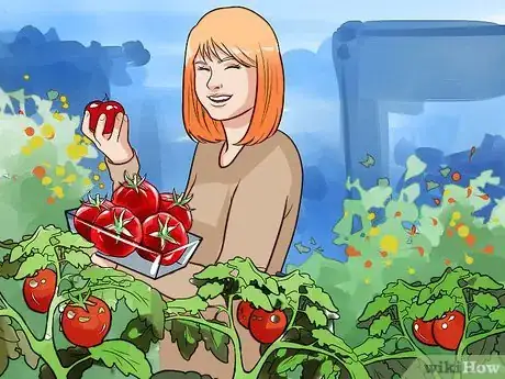 Image titled Grow Vegetables Step 17
