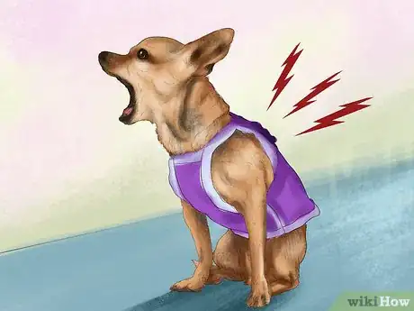 Image titled Build a Relationship With a Dog Step 11