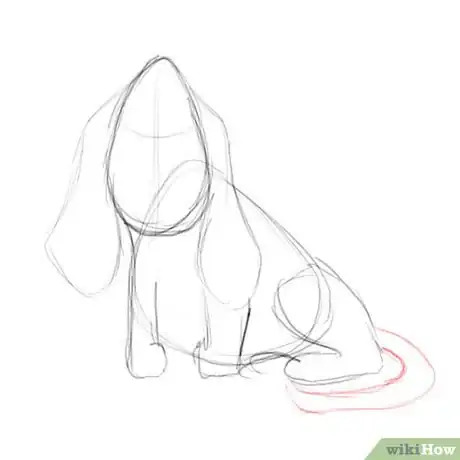 Image titled Basset hound tail Step 4