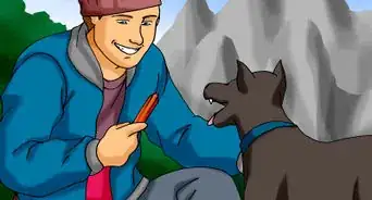 Hike with Your Hound