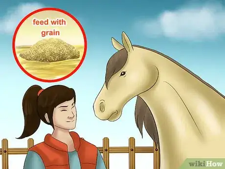 Image titled Catch a Horse Step 14