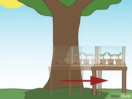 Image titled Harden Off Seedlings Step 6