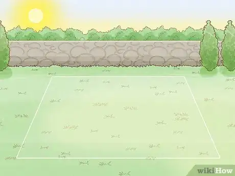 Image titled Grow Black Eyed Susan Flowers Step 1