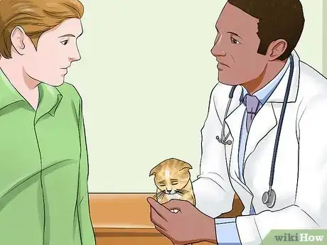 Image titled Prepare for Kittens Step 6