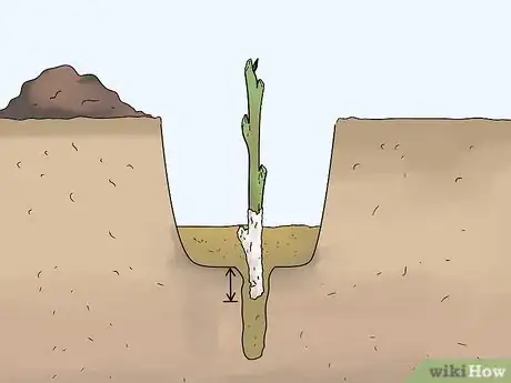 Image titled Take Hardwood Cuttings Step 10