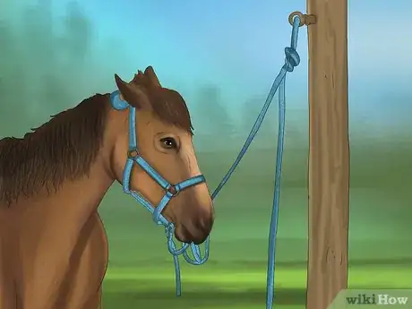 Image titled Tie up a Horse Step 9