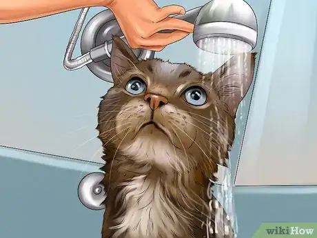 Image titled Care for a LaPerm Cat Step 9
