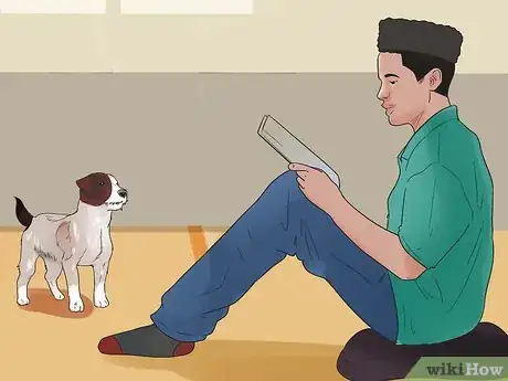 Image titled Connect With an Animal Step 5