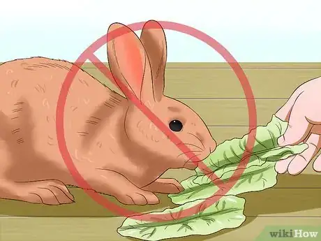 Image titled Keep Rabbits Warm in Sub Zero Weather Step 9