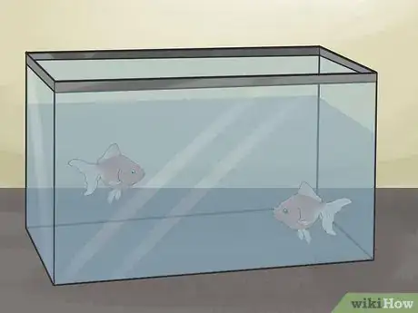Image titled Breed Fish Step 5