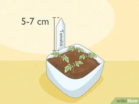 Image titled Reuse Milk Jugs in the Garden Step 7