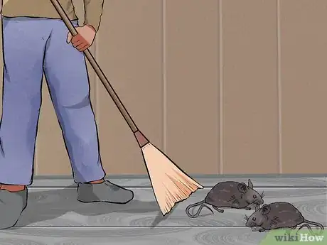 Image titled Avoid Lassa Fever Step 3