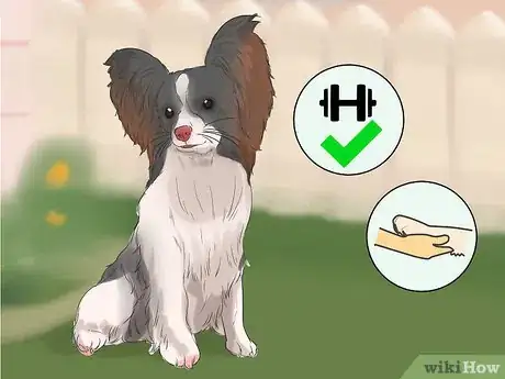 Image titled Choose a Dog That's Easy to Train Step 2